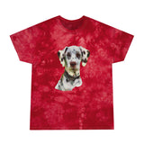 Dalmatian Classic Tie-Dye Tee, Crystal