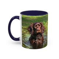 Boykin Spaniel - Ceramic Accent Coffee Mug - 2 Sizes