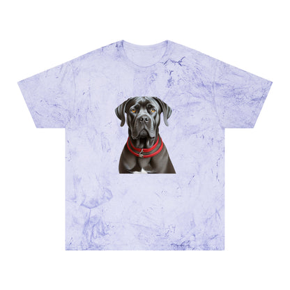 Cane Corso Unisex Color Blast T-Shirt