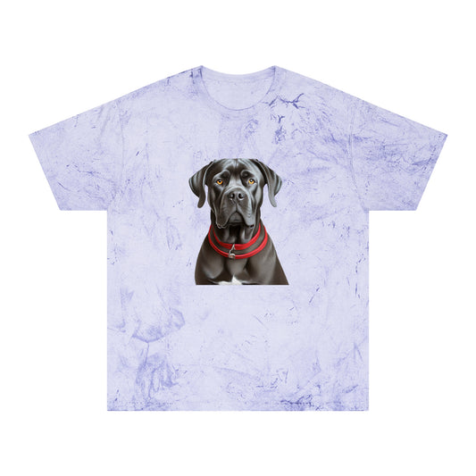Cane Corso Unisex Color Blast T-Shirt