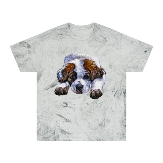 Saint Bernard 'Sontuc' Unisex Cotton  -  Color Blast T-Shirt