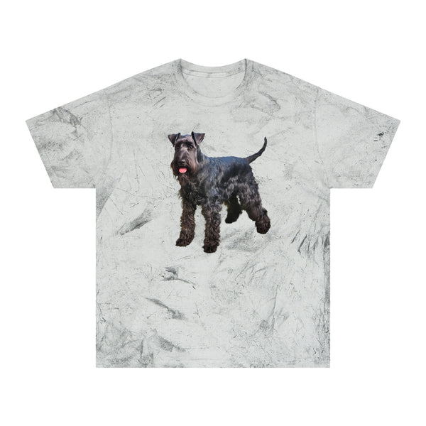 Kerry Blue Terrier Unisex Color Blast T-Shirt