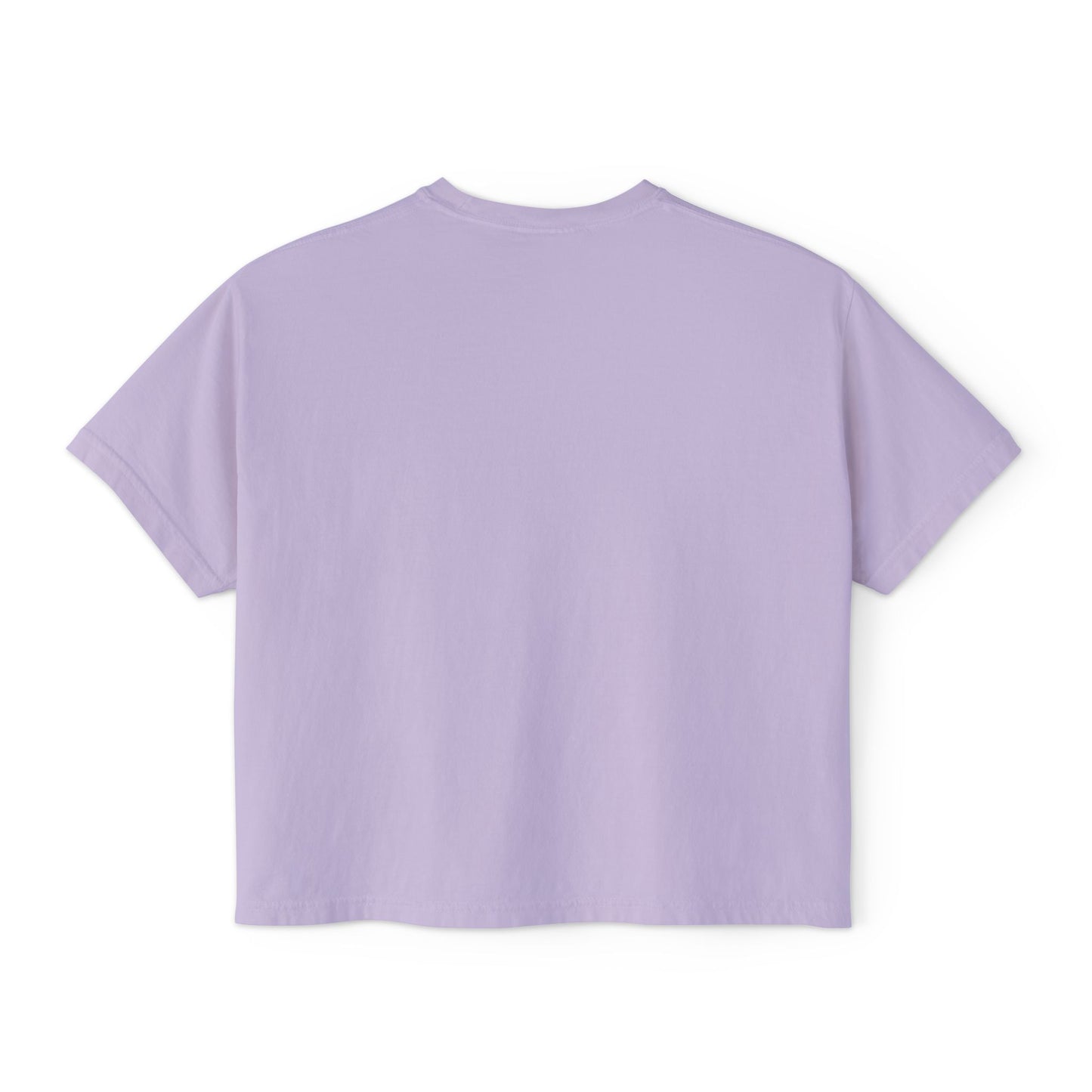 American Eskimo Dog Women's Oversized Boxy Tee