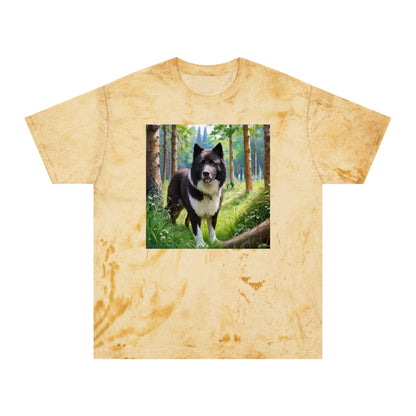 Karelian Bear Dog Color Blast T-Shirt