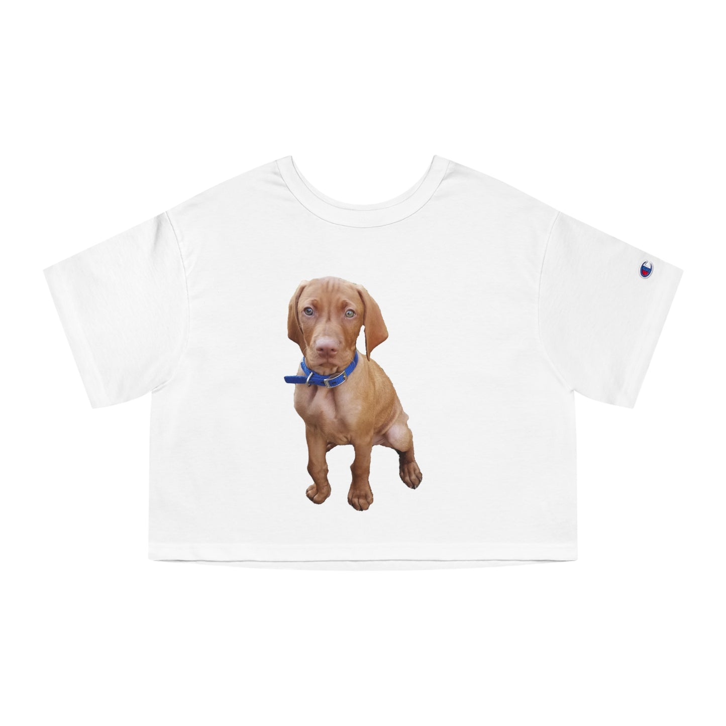 Hungarian Vizsla 'Augie' Women's Cropped Cotton T-Shirt