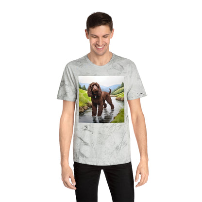 Irish Water Spaniel Unisex Color Blast T-Shirt