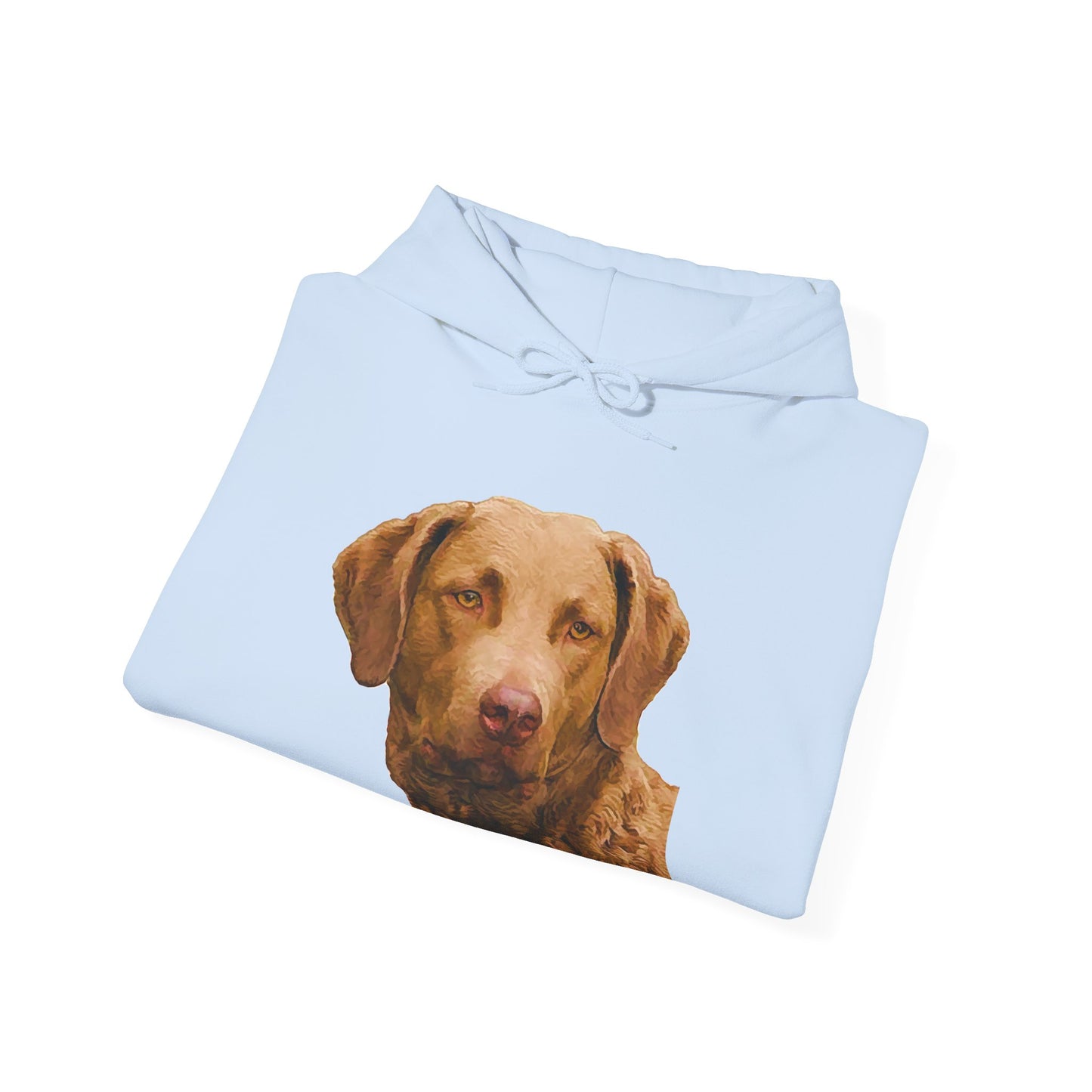Chesapeake Bay Retriever Unisex 50/50 Hoodie: Cozy Companion