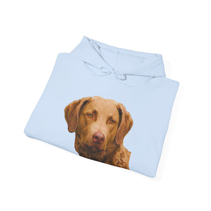 Chesapeake Bay Retriever Unisex 50/50 Hoodie: Cozy Companion