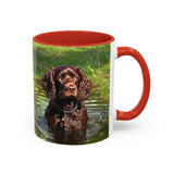 Boykin Spaniel - Ceramic Accent Coffee Mug - 2 Sizes