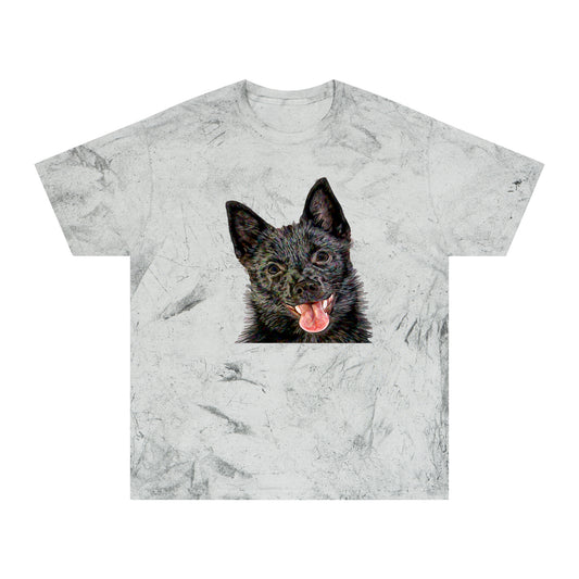 Schipperke Unisex Cotton  -  Color Blast T-Shirt