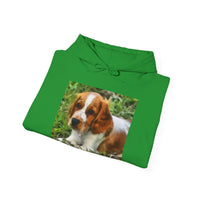Welsh Springer Spaniel Unisex 50/50 Hoodie