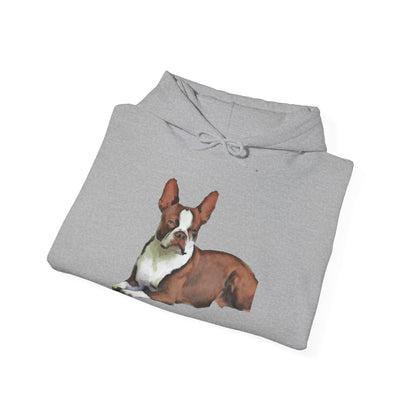 Boston Terrier 'Seely' Unisex 50/50 Hoodie