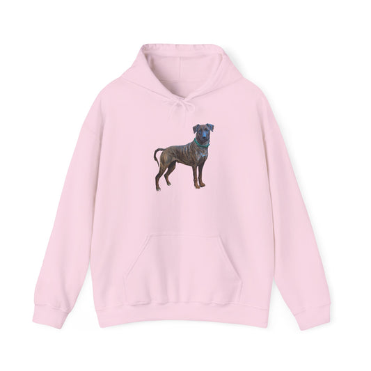 Treeing Tennessee Brindle  Unisex 50/50 Hooded Sweatshirt