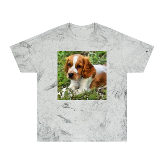 Welsh Springer Spaniel Unisex Ringspun Cotton  -  Color Blast T-Shirt
