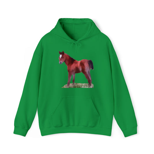Horse 'Contata' Unisex 50/50 Hoodie