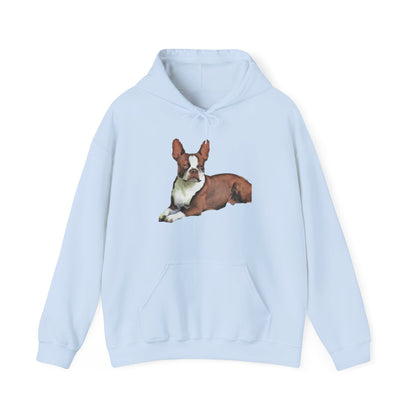 Boston Terrier 'Seely' Unisex 50/50 Hoodie