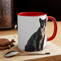 Cat from Hydra - Accent Coffee Mug, 11oz
