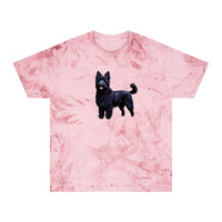 Croatian Sheepdog Unisex Color Blast T-Shirt