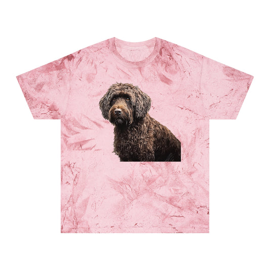 Barbet Unisex Color Blast T-Shirt