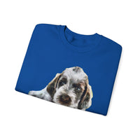 Spinone Italiano Unisex 50/50 Crewneck Sweatshirt