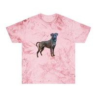 Treeing Tennessee Brindle  Unisex Color Blast T-Shirt