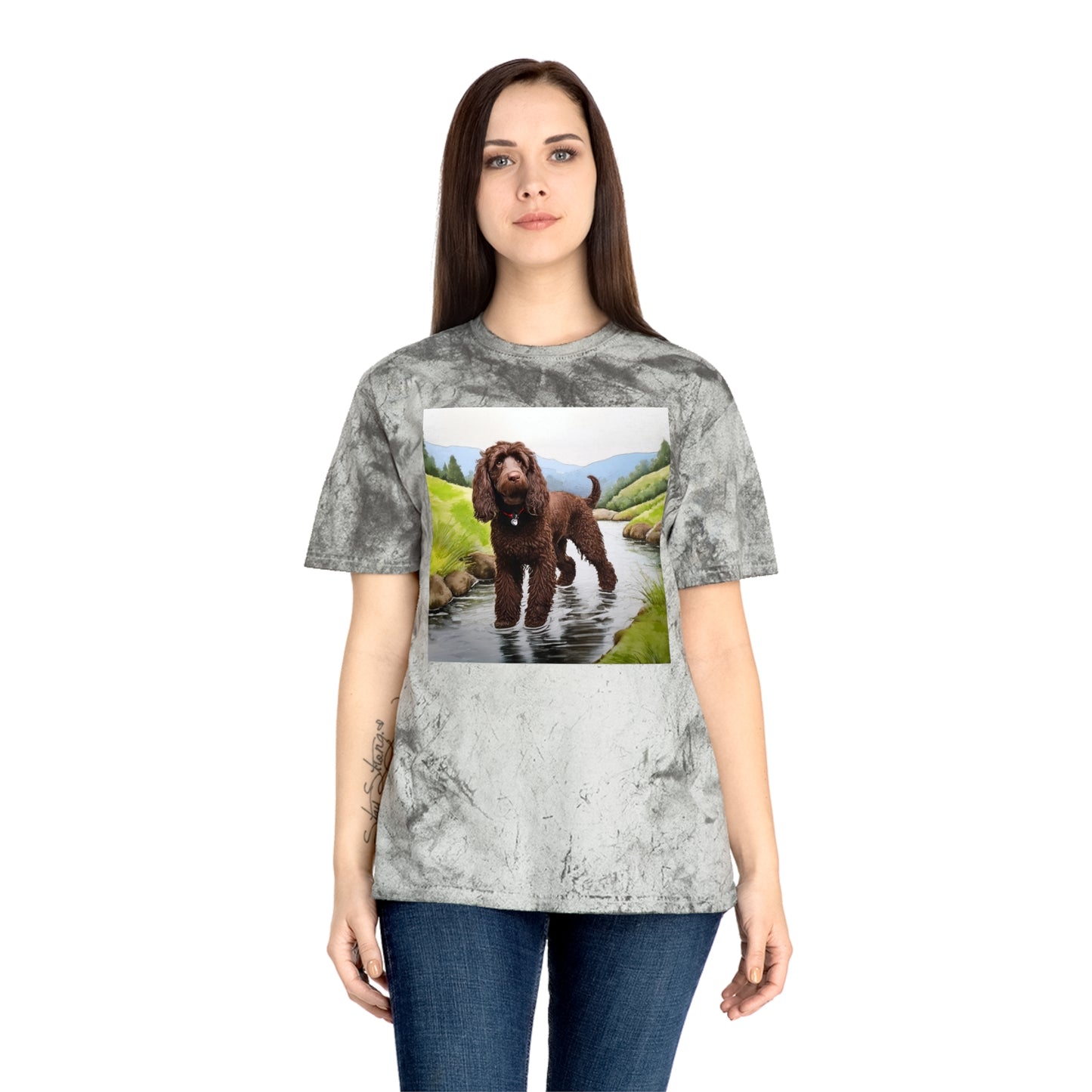 Irish Water Spaniel Unisex Color Blast T-Shirt