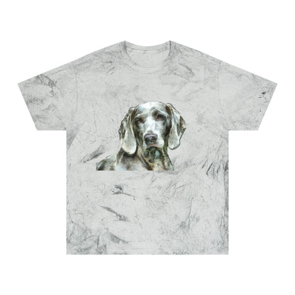 Weimaraner "Greyson" Unisex Cotton Color Blast T-Shirt