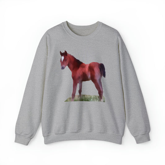 Horse 'Contata' Unisex 50/50 Crewneck Sweatshirt