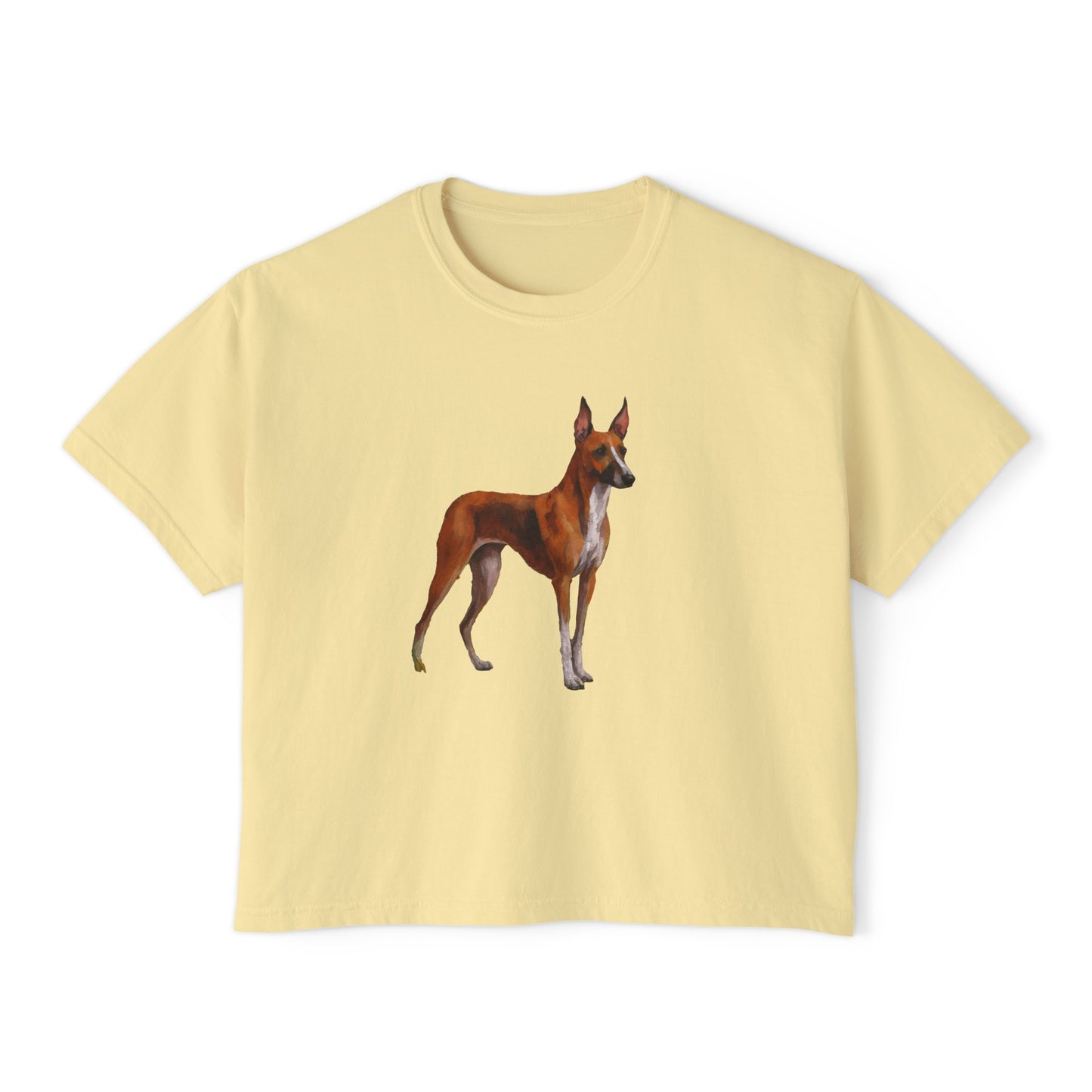 Azawakh Women's Oversized Boxy Tee: A Unique Expression of Elegance