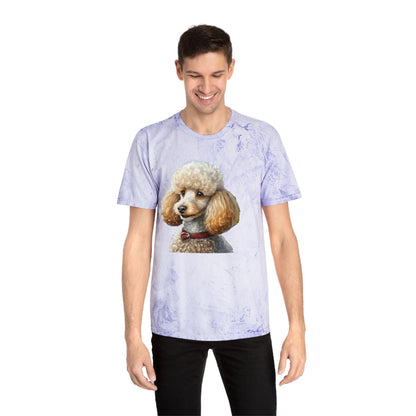 Standard Poodle #2 - Classic Color Blast T-Shirt