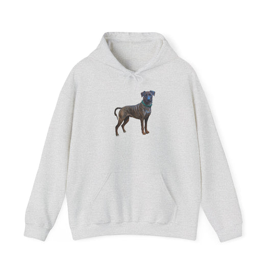 Treeing Tennessee Brindle  Unisex 50/50 Hooded Sweatshirt