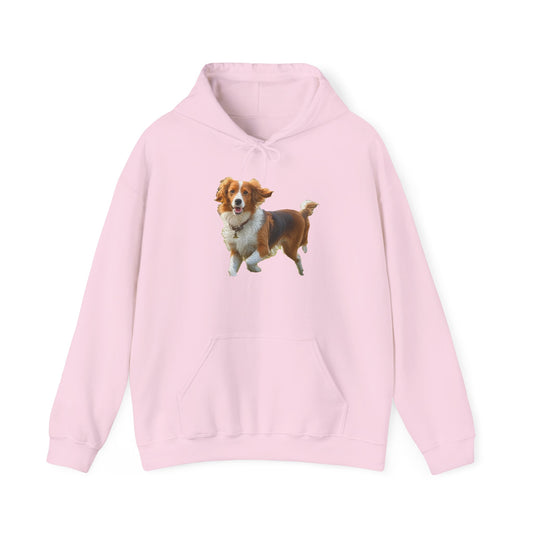 Nederlandse Kooikerhondje - Unisex 50/50 Hooded Sweatshirt