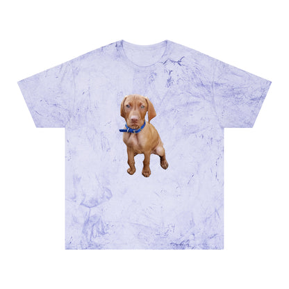 Vizsla 'Augie' Unisex Cotton  -  Color Blast T-Shirt
