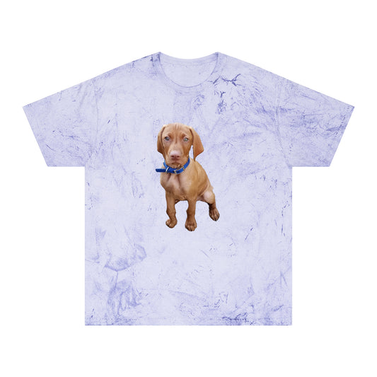 Vizsla 'Augie' Unisex Cotton  -  Color Blast T-Shirt