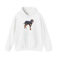 Transylvanian Scent Hound Unisex 50/50 Hooded Sweatshirt