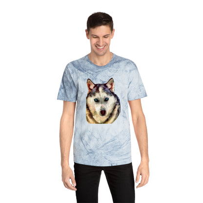 Siberian Husky 'Sacha' Unisex Cotton Color Blast T-Shirt