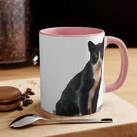 Cat from Hydra - Accent Coffee Mug, 11oz