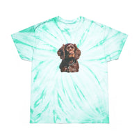 Boykin Spaniel Tie-Dye Tee, Cyclone