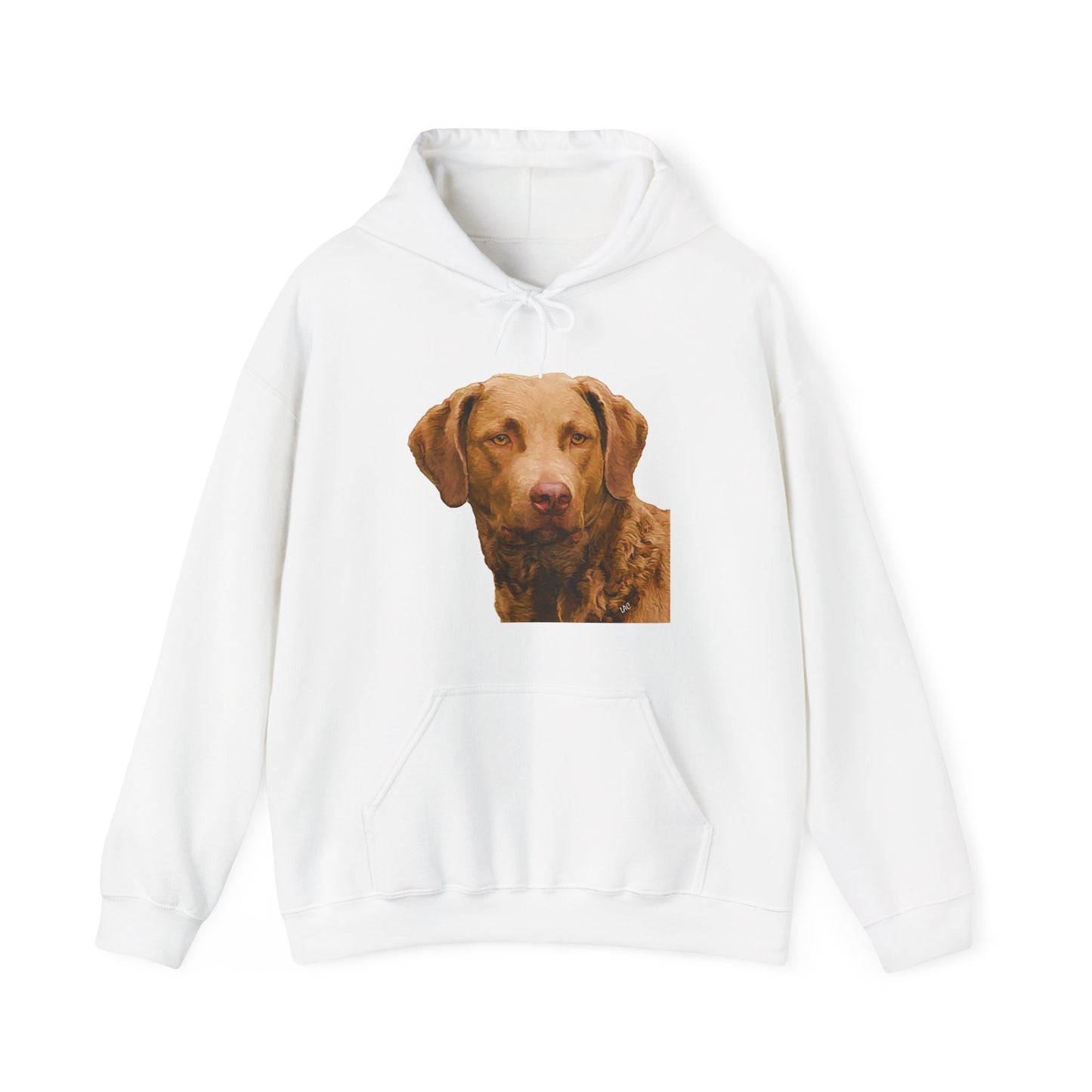 Chesapeake Bay Retriever Unisex 50/50 Hoodie: Cozy Companion
