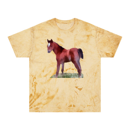 Horse 'Contata' Unisex Cotton Color Blast T-Shirt