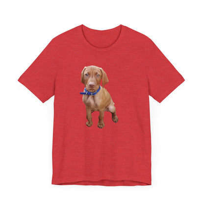 Vizsla 'Augie' Unisex Jersey Short Sleeve Tee