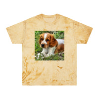 Welsh Springer Spaniel Unisex Color Blast T-Shirt