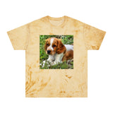 Welsh Springer Spaniel Unisex Color Blast T-Shirt