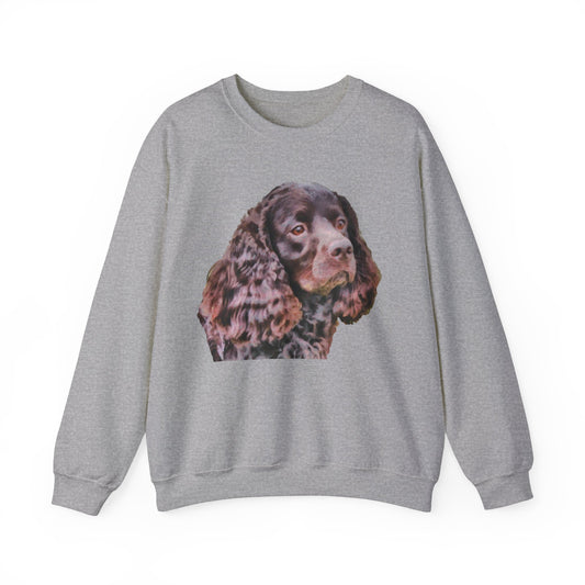 American Water Spaniel Unisex 50/50 Crewneck Sweatshirt