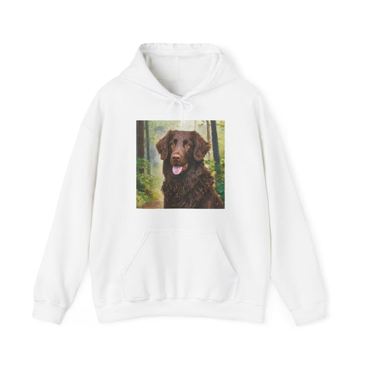Curly-Coated Retriever 50/50 Hooded Sweatshirt