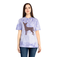 Chihuahua Classic Cotton Color Blast T-Shirt
