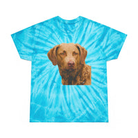 Chesapeake Bay Retriever Unisex Tie-Dye Tee, Cyclone