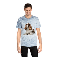 French Spaniel Classic Color Blast T-Shirt