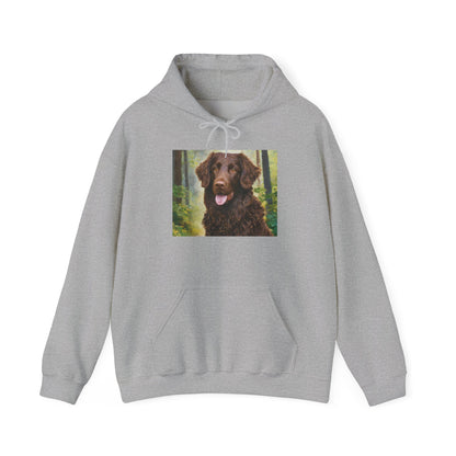 Curly-Coated Retriever Cozy Hoodie