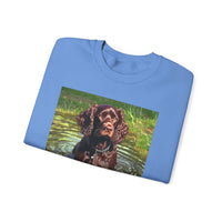 Boykin Spaniel -- Unisex 50/50 Crewneck Sweatshirt